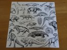 Dj Scratch vinyl '12 Skratch Fossils