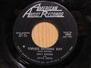 Kelly Rogers and Joyce Singo Michigan country 45 Raindrops on American Artist