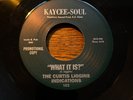 The Curtis Higgins Indications - Funky Monkey right on/ What It is    NM