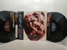 V by The Horrors LP Vinyl 2017 Pressing