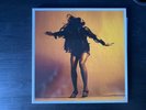 The Last Shadow Puppets - Everything You’ve Come To Expect Vinyl (LE DLX)