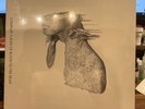 COLDPLAY A RUSH OF BLOOD TO THE HEAD LP Atlantic PRL 1405048 SEALED Reissue 2008