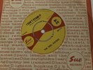 THE SOUL SISTERS   I Can't Stand It / Blueberry Hill   7” 45 SUE WI-312