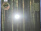 THE PAPER KITES - EVERGREEN LP FOREST GREEN VINYL RSD 2024 BRAND NEW SEALED
