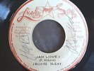 Jah Love I - Freddie Mckay