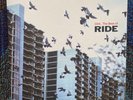 Ride - OX4... The Best Of 2x Gatefold LP Vinyl 1st Pressing IGN LP14 2001