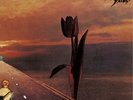 The Pretty Things Parachute (Vinyl) 50th Anniversary  12