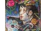 Todd Rundgren - A Wizard, A True Star 1973 LP, Album, Promo, Die Bearsville BR 2
