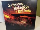 Joe Bonamassa Muddy Wolf At Red Rocks 180G  Vinyl LP