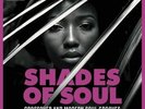 SHADES OF SOUL Crossover & Modern Soul Grooves - New & Sealed LP Vinyl (Charly)