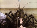 Birth Control - Operation (Vinyl LP - 1971 - EU - Reissue)