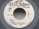 YOU WILL NEVER KNOW / LOSING YOU - MAD LADS ( COXSONE ) Killer Soulful Reggae