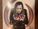 Eat The Elephant by Perfect Circle Vinyl Album (near Mint)