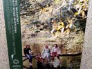 VINYL ALBUM RECORD,PAUL MCCARTNEY & WINGS-WILD LIFE,HALF-SPEED MASTERING