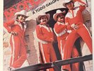 Bronco - A Todo Galope (1 x LP, Vinyl, Vinilo, 1989 MX, VG+)