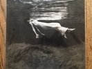 Bill Evans Jim Hall Undercurrent Silver Label Lp Mobile Fidelity MFSL MOFI