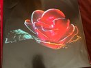 Depression Cherry by Beach House (Record, 2015)