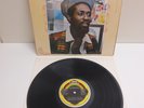 MIKEY DREAD LP DREAD AT THE CONTROLS - EVOLUTIONARY ROCKERS 1979 JAMAICA PRESS