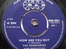 THE RAINCHECKS   HOW ARE YOU BOY / BYE BYE BABY ** 1965 UK R&B 7