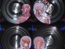 Tool - Lateralus [Used Vinyl LP]