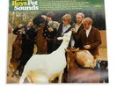 The Beach Boys – Pet Sounds Vinyl - VG