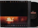 VAN MORRISON 