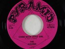 Garage 45 - Avlons - Come Back Little Girl/Mad Man's Fate - Pyramid - VG+