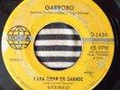 GARROBO - Funk Psych Latin Soul - El Salvador - Rare - LISTEN