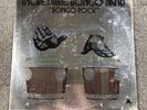 Michael Viner’s Incredible Bongo Band - Bongo Rock LP - Pride Record Vinyl