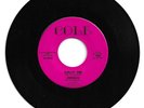DOO WOP 45 THE ZODIACS GOLLY GEE ON COLE  VG++  ORIGINAL