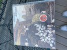 Kevin Ayers -Whatever she brings we sing LP - VG+ -- R Wyatt, M oldfield