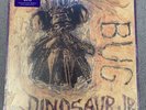 Bug by Dinosaur Jr. (Record, 2011) New Sealed
