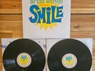 Brian Wilson - Smile Vinyl 2xLP 2004 Original Press Copy  Pristine  Beach Boys