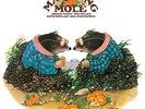 MATCHING MOLE - New Vinyl Record Coloured Vinyl - R600z