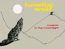 HOWLIN' WOLF - MOANIN IN THE MOONLIGHT 4 BONUS TRACKS - New Vinyl Re - Z600z