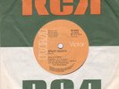 David Bowie Space Oddity Very Rare RCA 42-415 South Africa Rock 1973