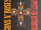 Guns N' Roses 