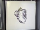 White Pepper by Ween Vinyl LP (2009 Plain Recordings Reissue, White Vinyl)