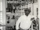 STUDIO ONE PRESENTS TRIBUTE TO PECKINGS VINYL LP EXC PRO CLEANED