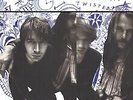 Del Amitri - Twisted - New Vinyl Record - K600z