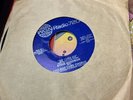 Go Cubs Go WGN Radio 720 Chicago Cubs Theme 45 Steve Goodman