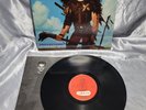 NAKED RAYGUN - UNDERSTAND? VINYL RECORD CAROL 1371 Caroline 1989