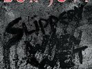 Bon Jovi – Slippery When Wet - LP Vinyl Record 12