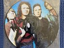 Mudhoney Every Good Boy Deserves Fudge Signed Numbered Picture Disc Sub Pop 1991