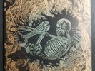 1st Press Ceschi Pat The Bunny Split 1:500 LP VINYL 2016 Record Ramshackle Glory