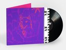 Dehd - Poetry [New Vinyl LP]