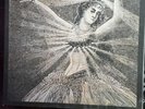 The Collected Works Of Neutral Milk Hotel by Neutral Milk Hotel (Record, 2023)