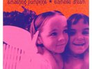Siamese Dream Smashing Pumpkins Audio CD (or Vinyl on request)