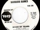 Barbara Banks - River of Tears - Veep