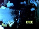 Free - Tons Of Sobs UK LP (VG+/VG) Island Records ILPS 9089 .*